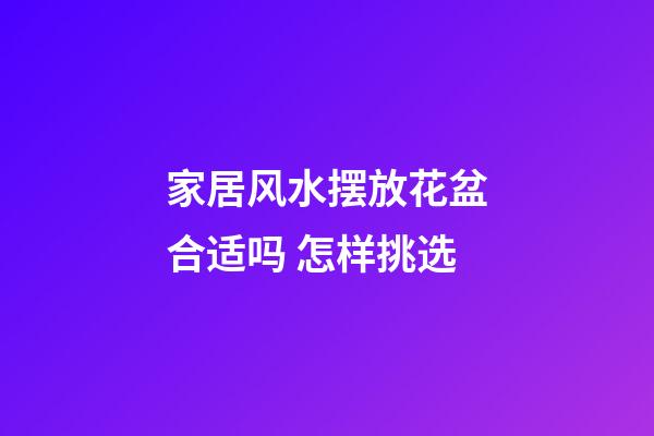 家居风水摆放花盆合适吗 怎样挑选